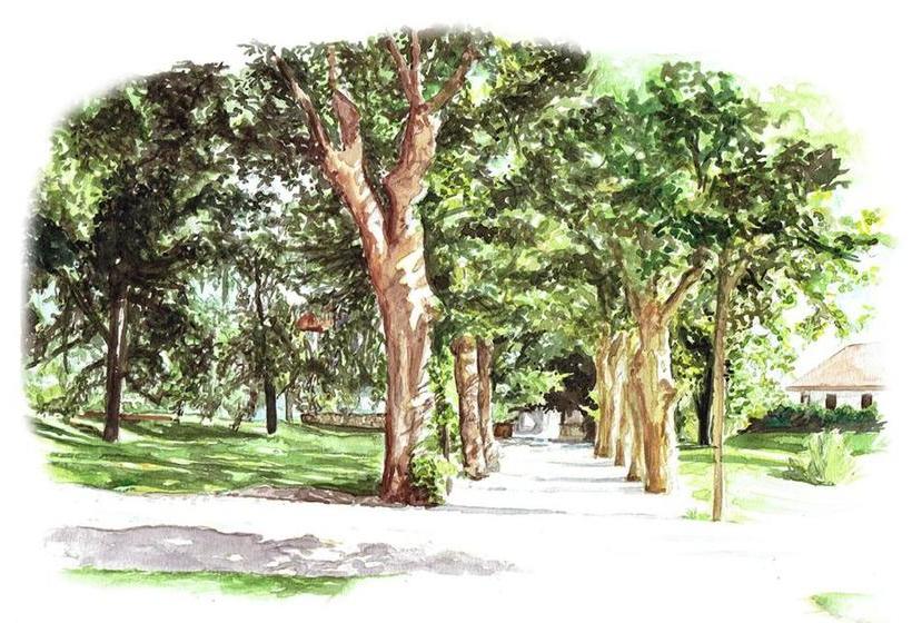 בית מלון כפרי Château Brachet