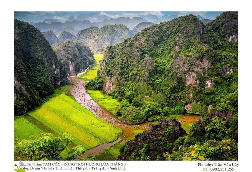Lotus Hotel Ninh Bình