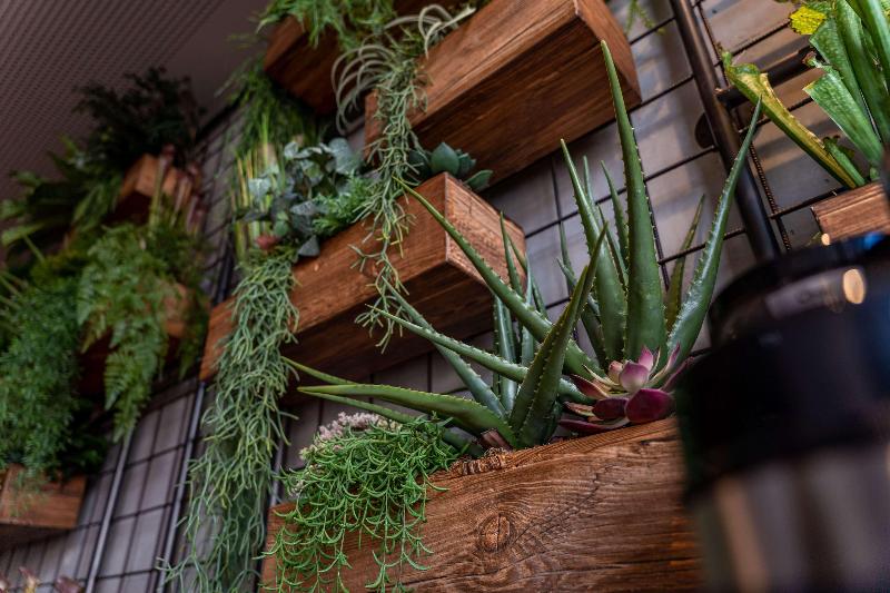 Me And All Hotel Ulm, By Hyatt