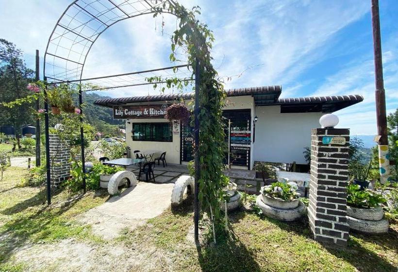 בית מלון כפרי Lily Cottage & Kitchen