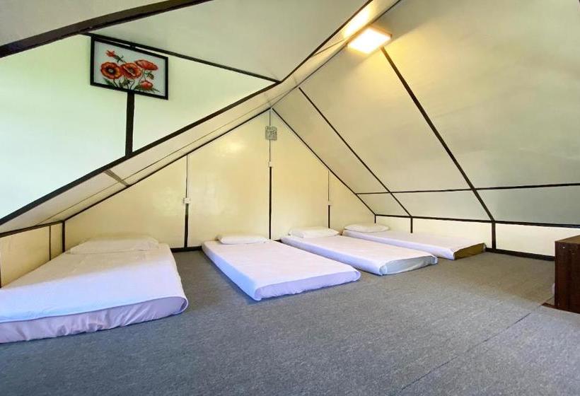 בית מלון כפרי Lily Cottage & Kitchen