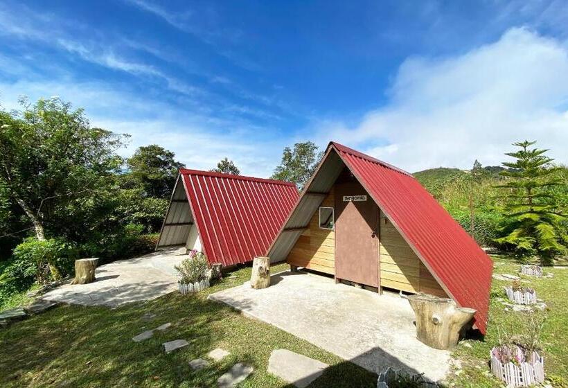 בית מלון כפרי Lily Cottage & Kitchen