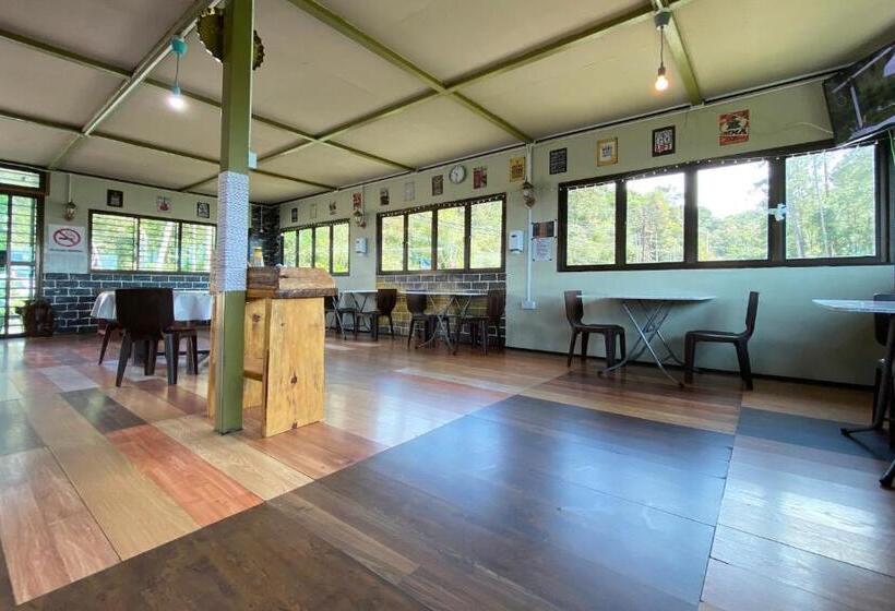 בית מלון כפרי Lily Cottage & Kitchen