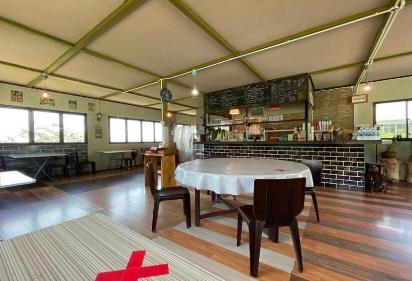 בית מלון כפרי Lily Cottage & Kitchen