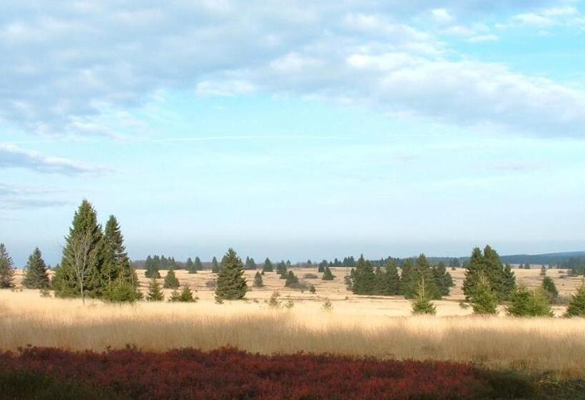 Luxury Spa Hotel Francofolies