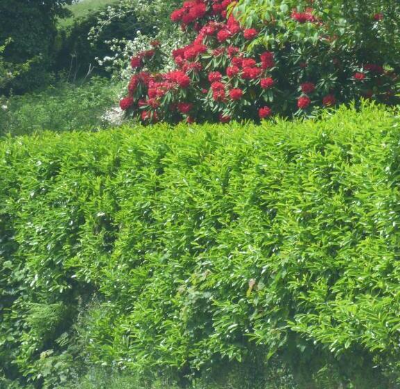 Park View R & R   Adult Only   Self Catering   Free Parking   Ev Point