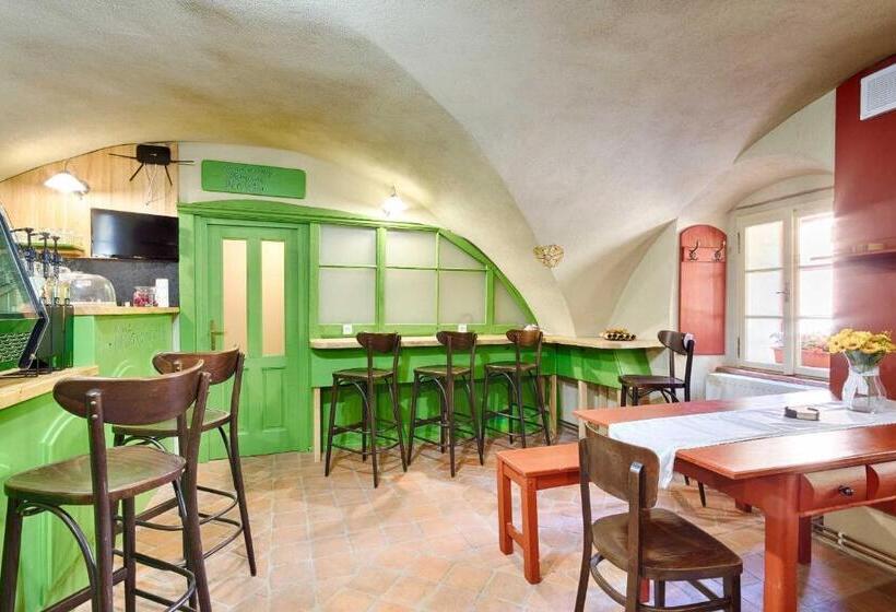 פנסיון Měšťanský Dům   Kulturní Památka Mlýnská 119