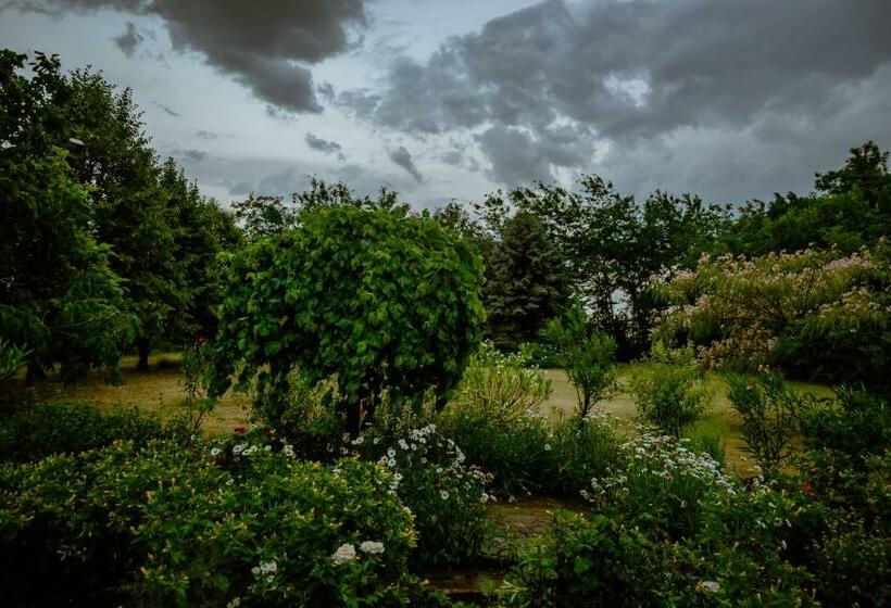 بنسيون Piroska Vendégház