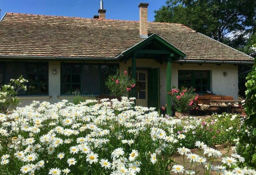 بنسيون Piroska Vendégház