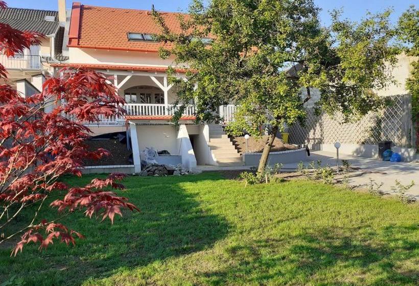 پانسیون Premium Vendégház