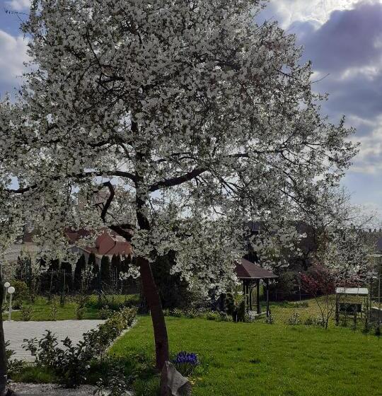 پانسیون Premium Vendégház