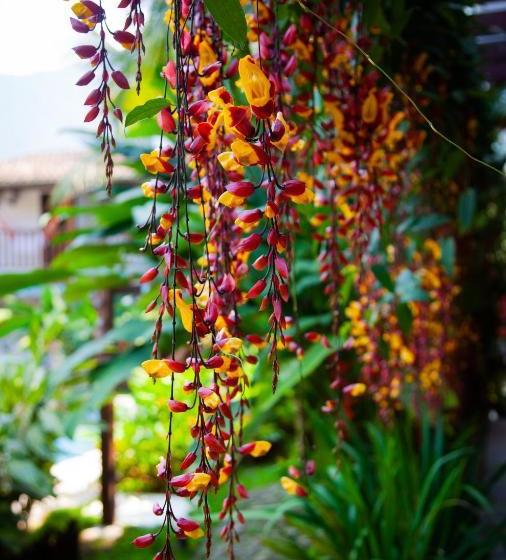 膳宿费 Tbs Prime Suítes