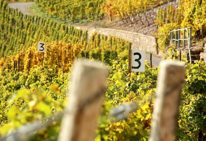 פנסיון Wein Und Gästehaus Hüls