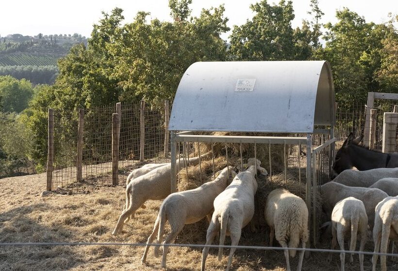 אתר נופש Villa Petriolo