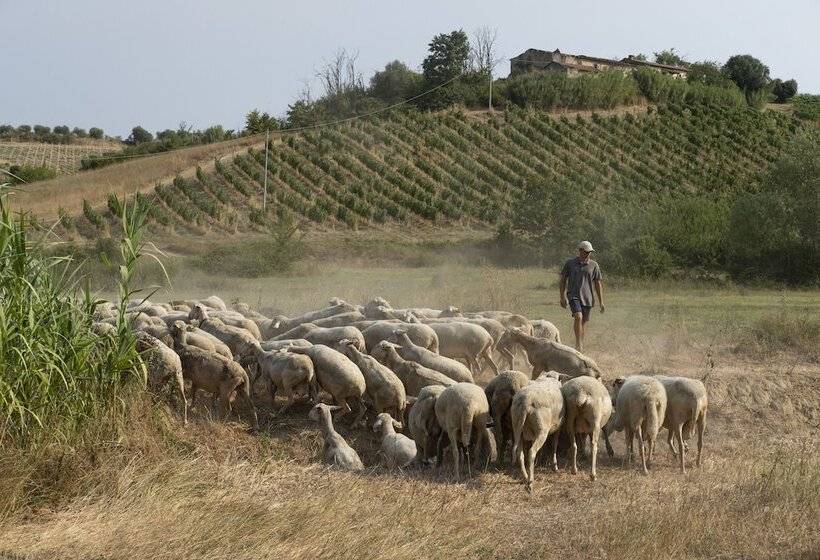 אתר נופש Villa Petriolo