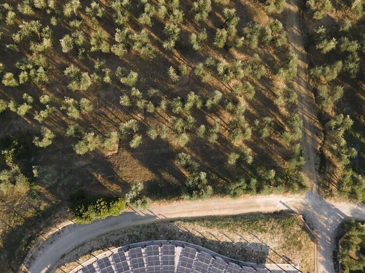 אתר נופש Villa Petriolo