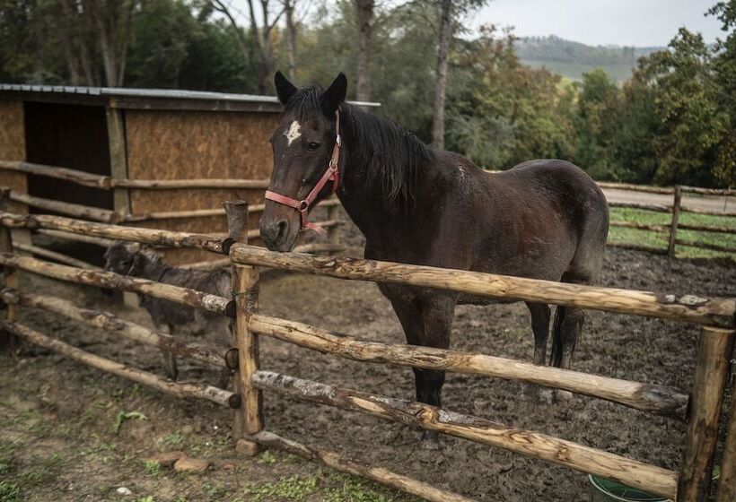 אתר נופש Villa Petriolo