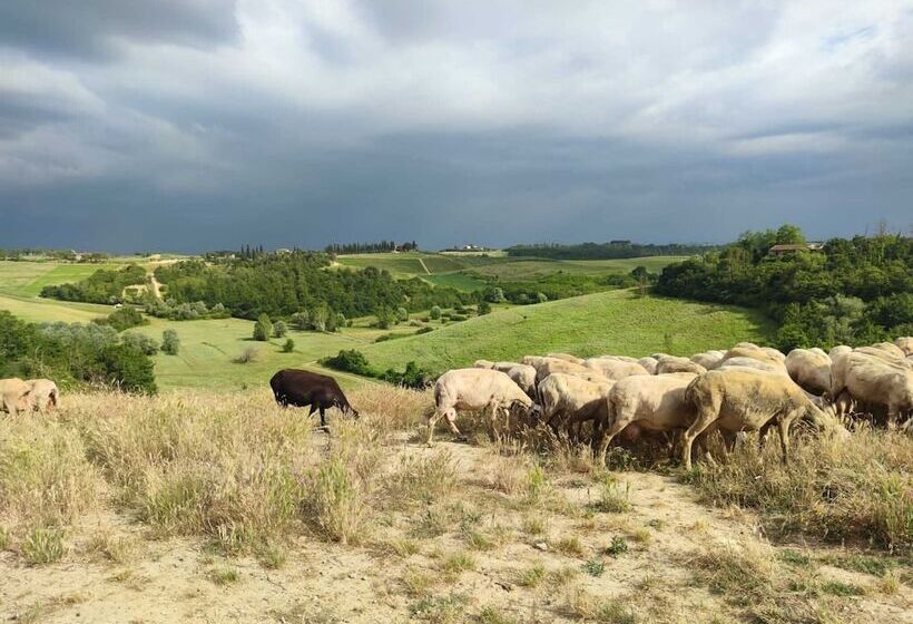 אתר נופש Villa Petriolo