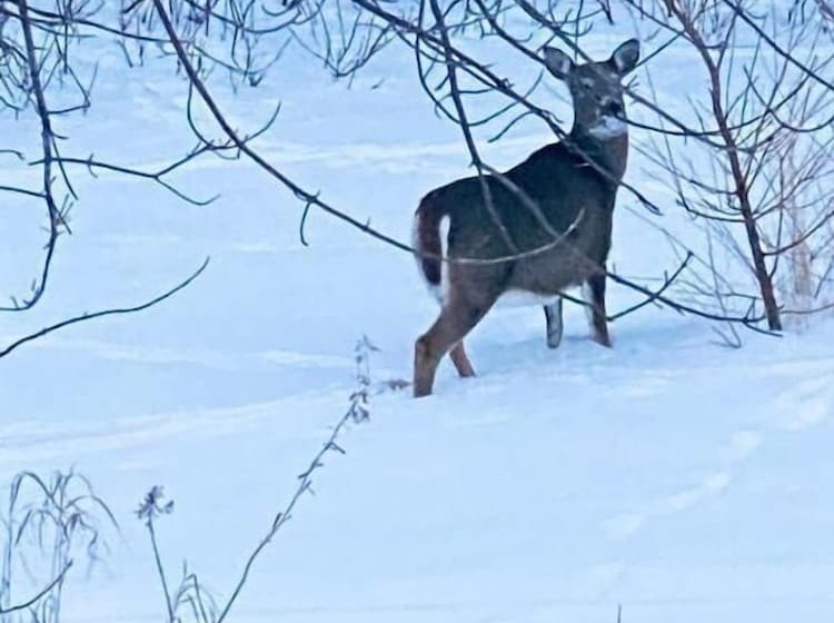 Silver Sands Hotel Rv Park