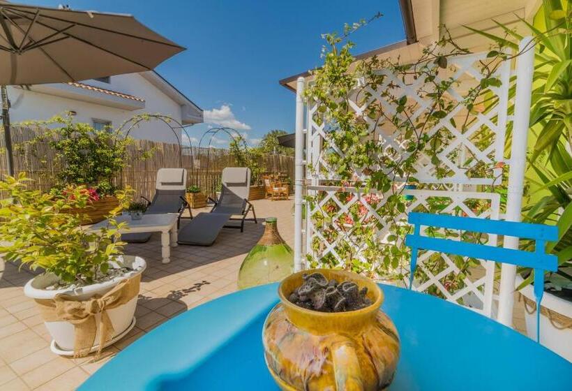 B&b Smartfit House   Room & Relax In Pescara