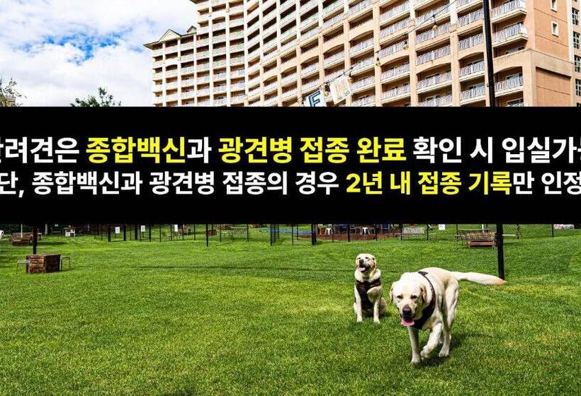 Sono Pet Clubs & Resorts Vivaldi Park