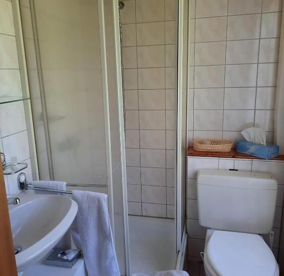 فندق صغير Berggasthaus Obbort