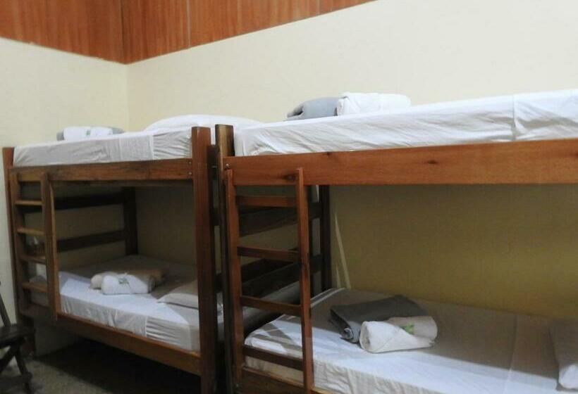 הוסטל Rio Celeste Backpackers