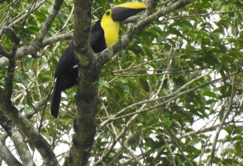 הוסטל Rio Celeste Backpackers