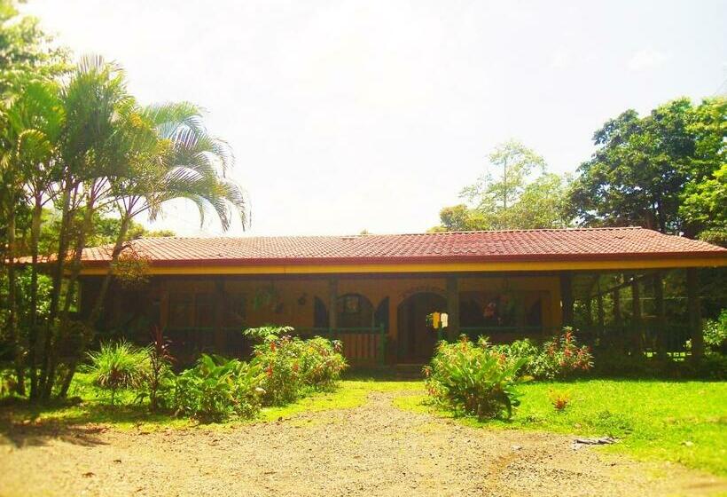 הוסטל Rio Celeste Backpackers