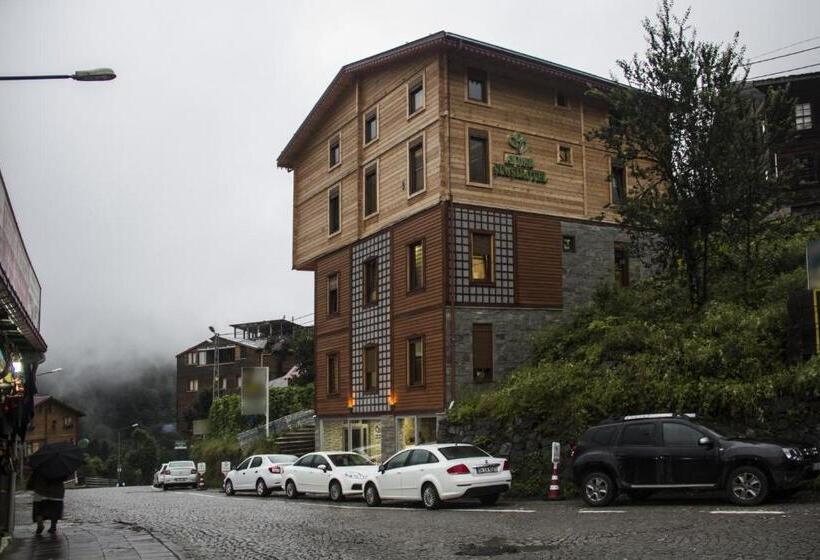 Ayder şimşir Butik Otel