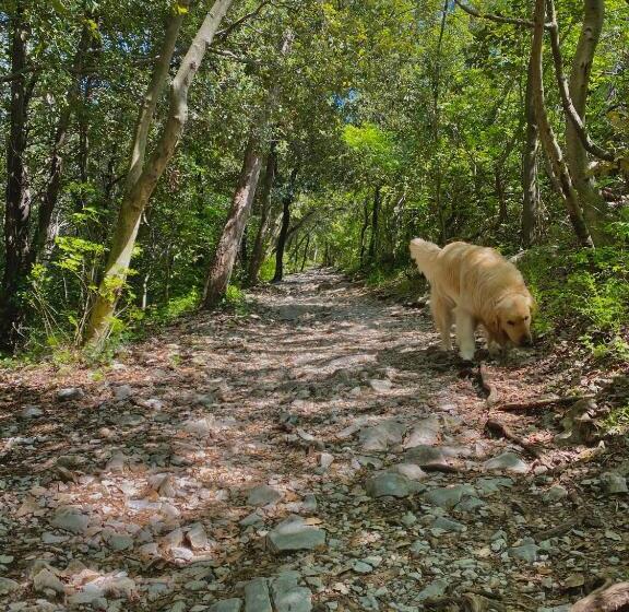 צימר Affittacamere Il Veliero