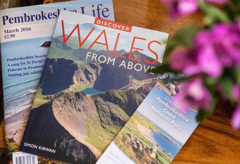 住宿加早餐  Ty Melin