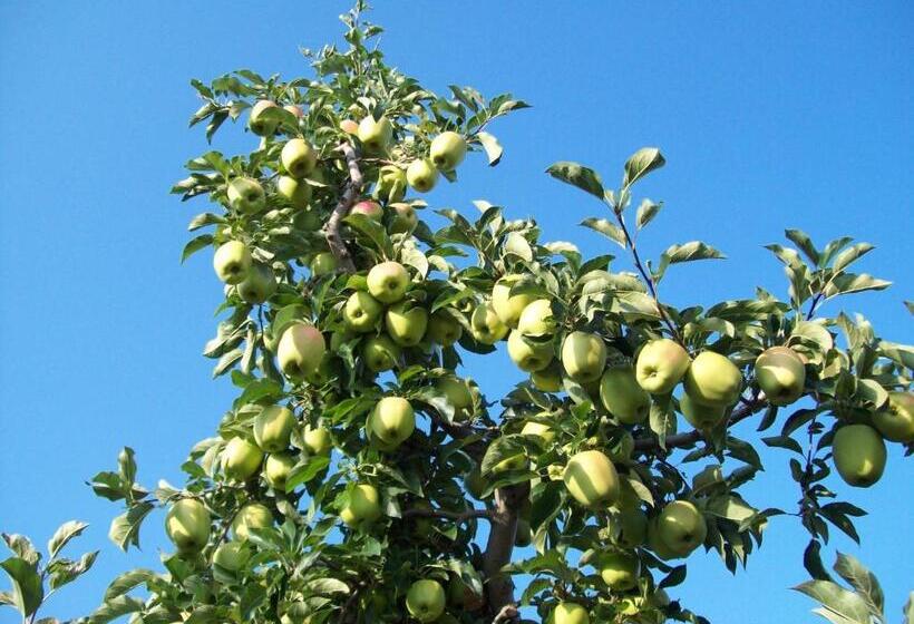 בית מלון כפרי Agritur Rizzi Di Inama Ugo