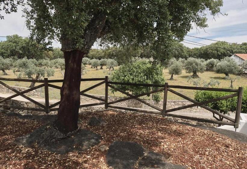 בית מלון כפרי Casa Do Brasão