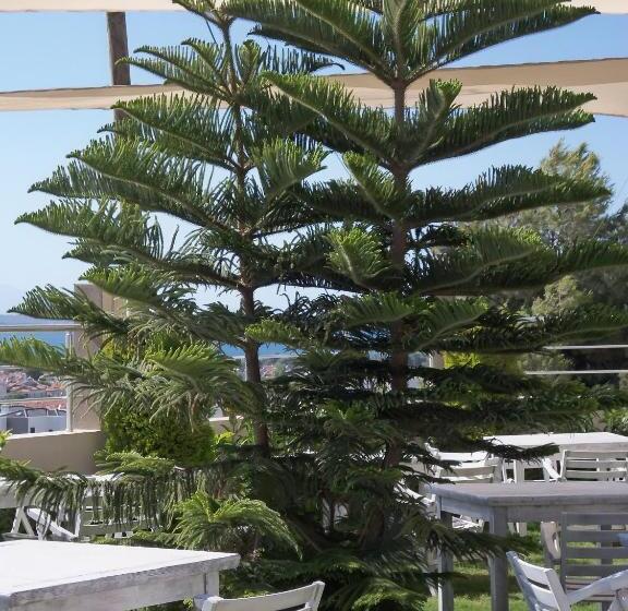 Отель Alaçatı çınar Boutique