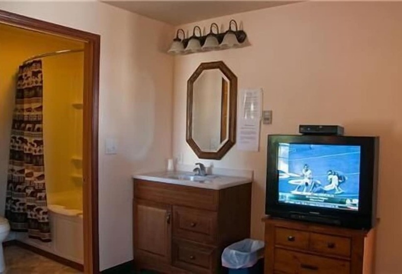 モーテル Dancing Bears Inn