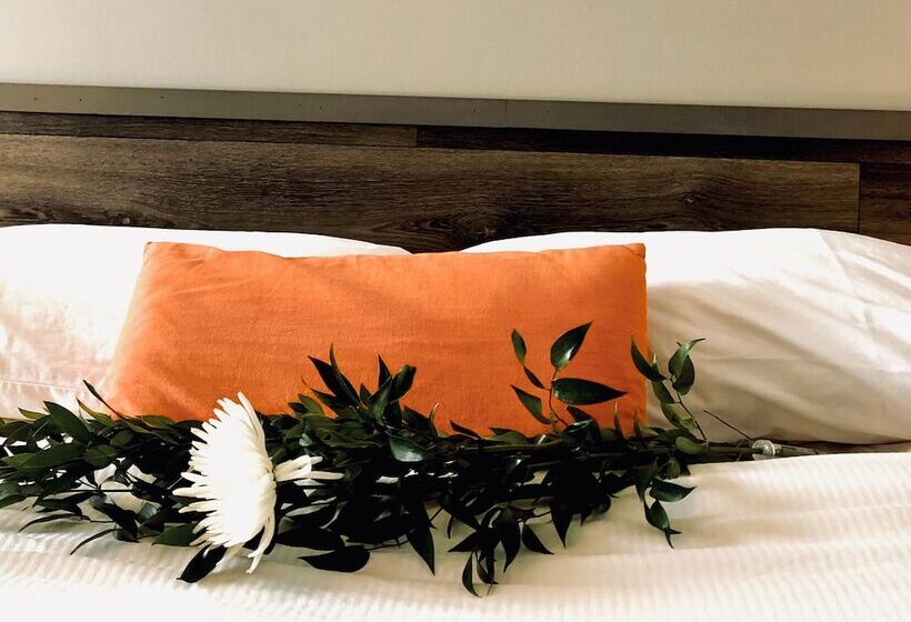 Мотель La Cache Du Lac