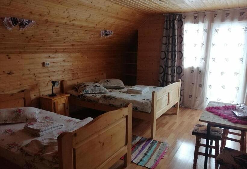 بنسيون Cabana Ghetari