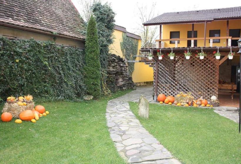 פנסיון Casa Mayr Bazna