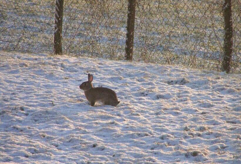 Пансион Les Garennes