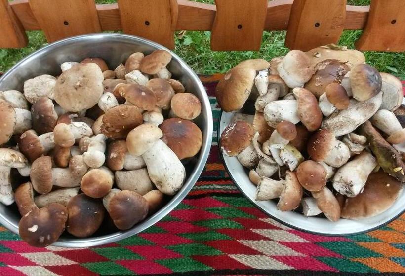 Пансион Zarinski