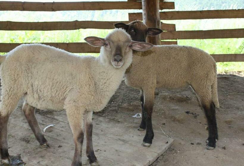 פנסיון Penzion Javorina