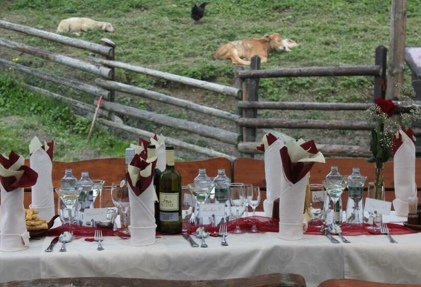 ペンション Penzion Javorina