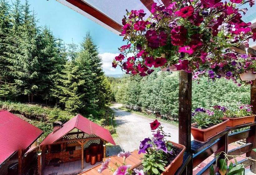 펜션 Perla Sarisorului