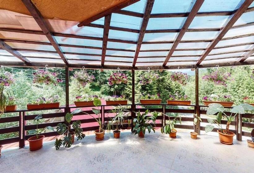 펜션 Perla Sarisorului