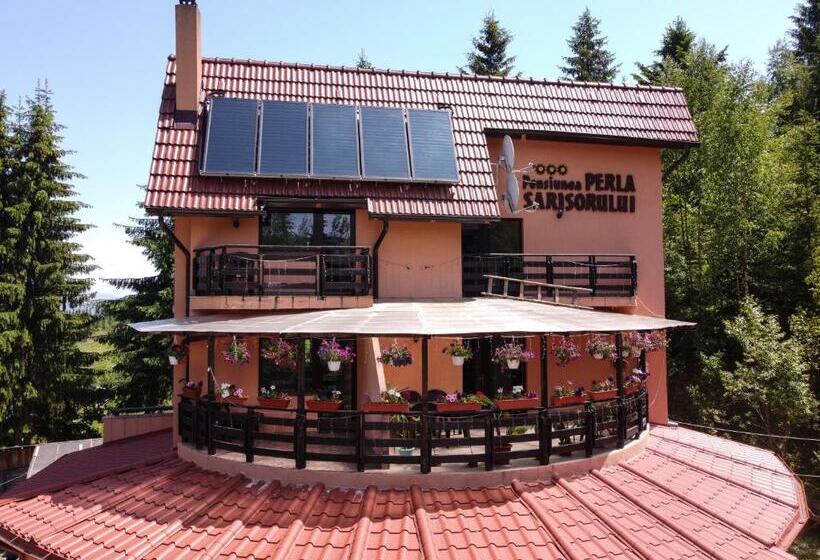 펜션 Perla Sarisorului