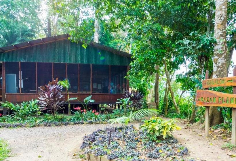 استراحتگاه Amazon Planet