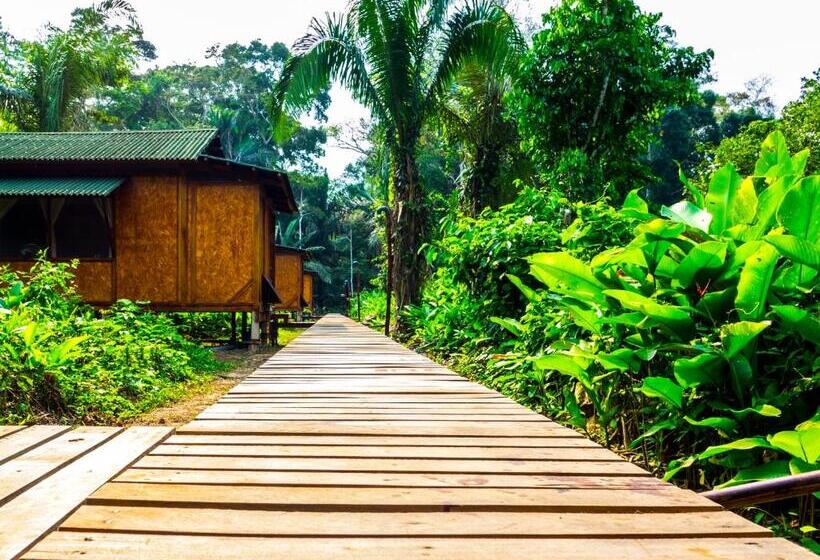 استراحتگاه Amazon Planet