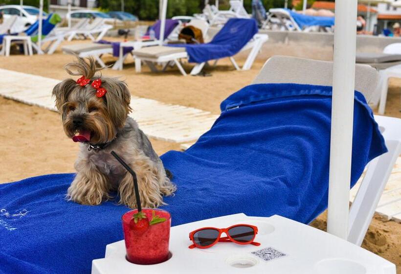 Acrotel Lilyann Boutique