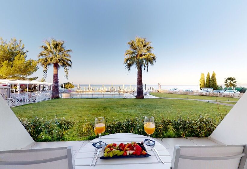 Acrotel Lilyann Boutique